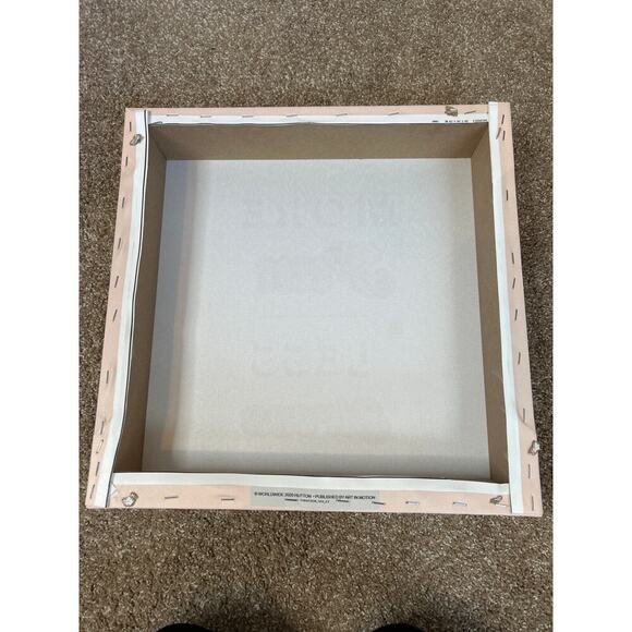 Medium sized canvas picture for teen tween dorm More Fun Less Stress Pale pink - Picture 4 of 4